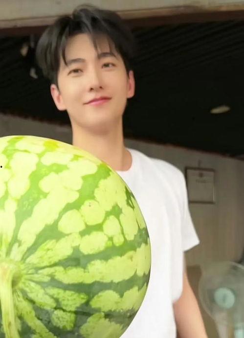 杨洋吃瓜绘画,绘画捕捉明星趣味瞬间