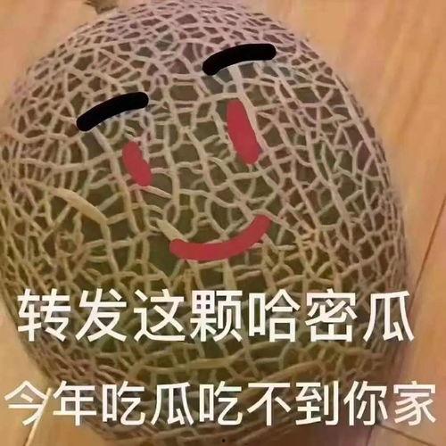 吃瓜吃的有点撑文案句子,肚子撑得“圆滚滚”的趣味回顾