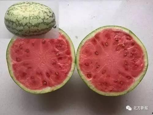 爱心吃瓜图片,甜蜜传递美好时光