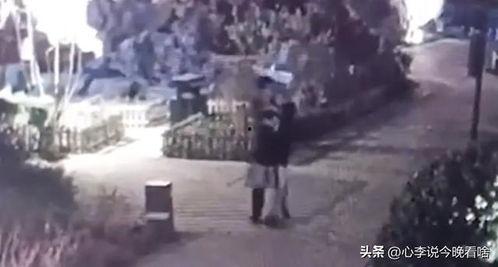 范县吃瓜事件视频,一场引发热议的网络风波