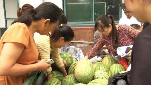 村里吃瓜老太,村里吃瓜老太的闲话家常