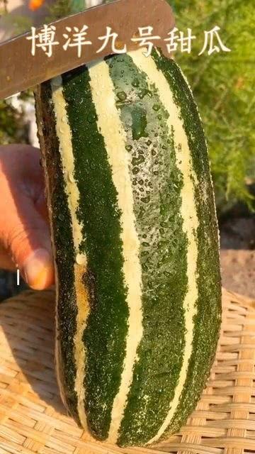 又有什么瓜可以吃