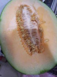 吃冻过的哈密瓜,哈密瓜冻品新体验