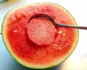 极品仙芋吃瓜头像