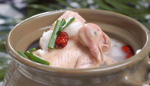 吃瓜厨房鸽子汤