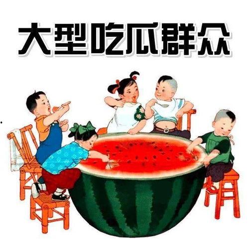 无聊吃瓜乱逛
