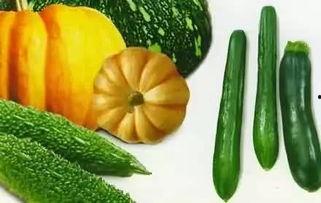 夏日写真吃瓜,吃瓜群众的欢乐时光