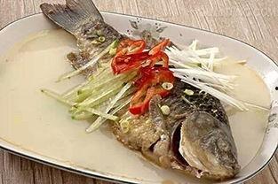 吃瓜吃鱼视频大全,趣味横生的美食盛宴